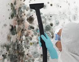 Best Mold Damage Restoration  in Pevely, MO